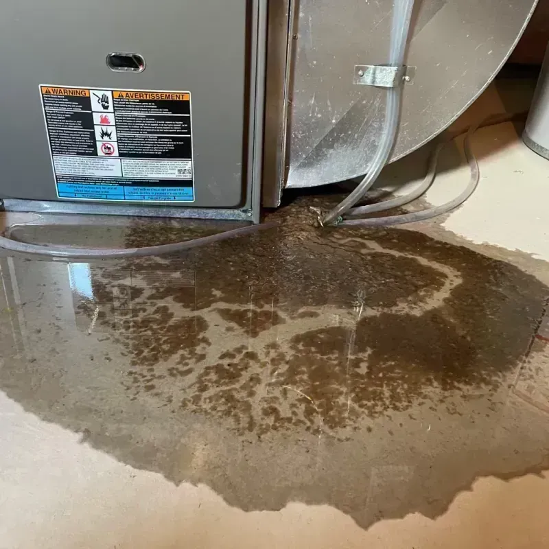 Appliance Leak Cleanup in Manitowoc County, WI